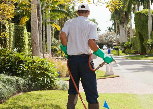 About Riverside RI Pest Control Pros